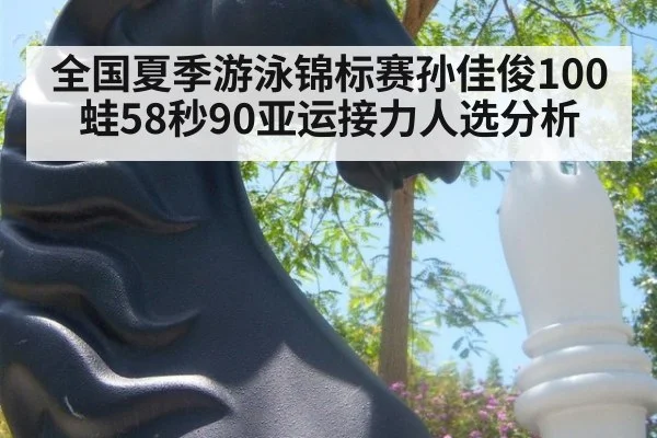 全国夏季游泳锦标赛孙佳俊100蛙58秒90亚运接力人选分析