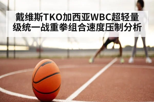 戴维斯TKO加西亚WBC超轻量级统一战重拳组合速度压制分析